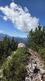 Foto von Klementina Gartner entlang der Tour
