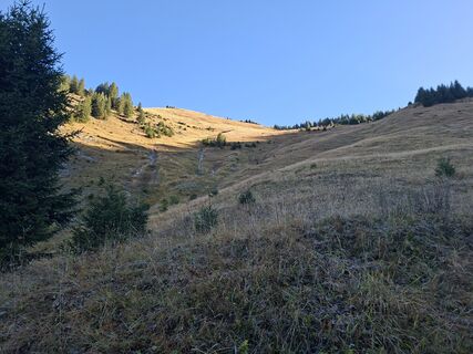 Fotografija s spletne strani Karl-Heinz Martin na poti