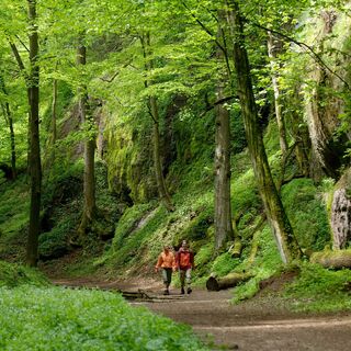 Wanderer unterwegs in der Landgrafenschlucht