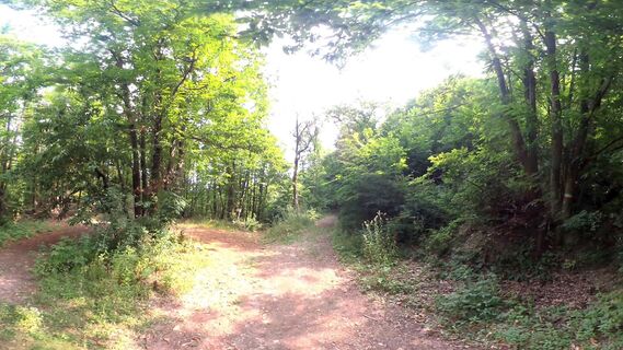 5.3 km Rechten Weg nehmen