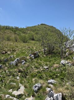 Photo de Axel Holtz le long du parcours