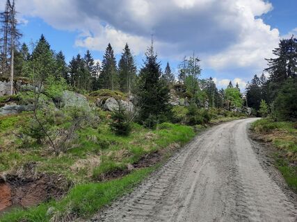 Foto von Florian Meisel entlang der Tour
