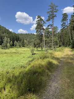 Foto von Harald Mang entlang der Tour