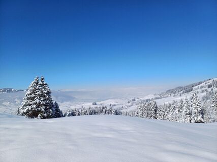 Foto fra Marlyse Leu undervejs på turen