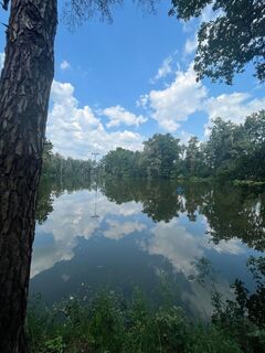 Klingerteich am Naturlehrpfad