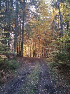 Photo de Bettina Unterweger le long du parcours