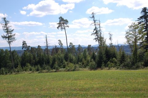 Ausblick vom Büchelberger Grat