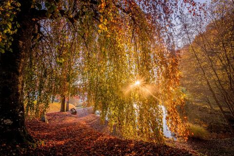 Silbersee im Herbst