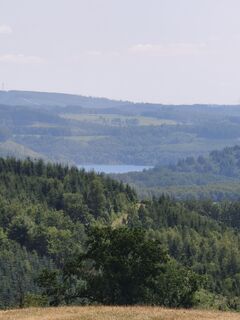 Foto von Meister Oster entlang der Tour