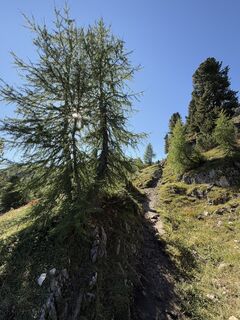 Fotografija s spletne strani Gianluca Bucciantini na poti