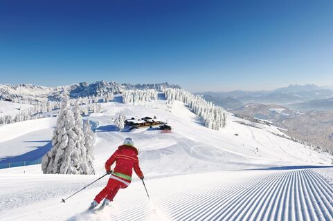 Berggasthof Jochstubn