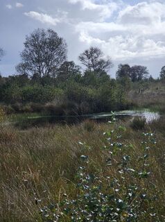 Foto von Angelika Gerung entlang der Tour