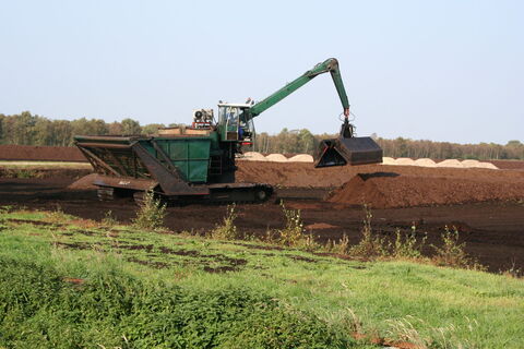 Das große Borsteler Moor