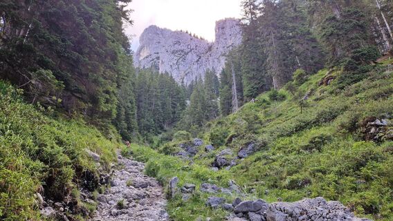 Foto von Ralf Zehendner entlang der Tour