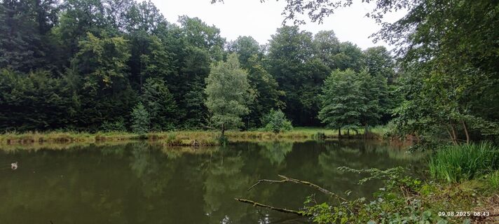 Foto da Marina Fabrizius lungo il tour