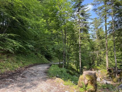 Fotografia z Heinz Sperl na trase