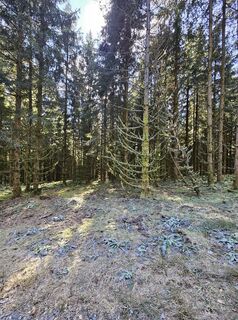 Photo de Volker Wagener le long du parcours