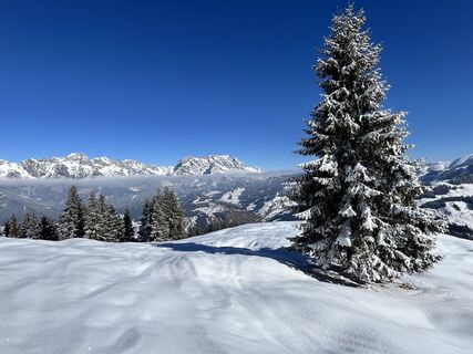 Fotó a Constanze 1 honlapról a túra során