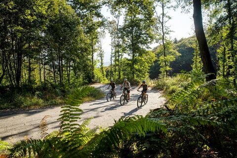 Wälder des Val Lemina