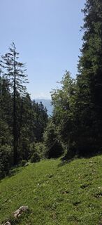 Foto von Mel 9 entlang der Tour