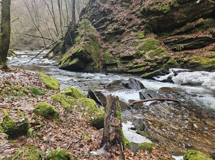 Foto de Franz Russ a lo largo del recorrido
