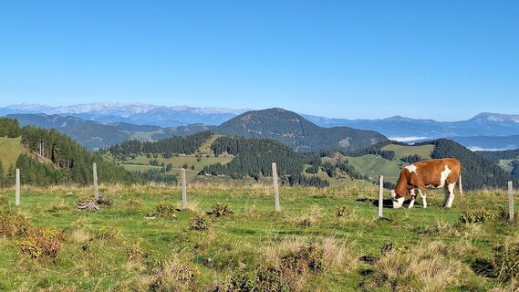 Photo from Othmar Engelmann along the tour