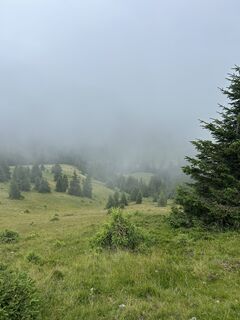 Photo de Patrick Scherb (Grillanzuender94) le long du parcours