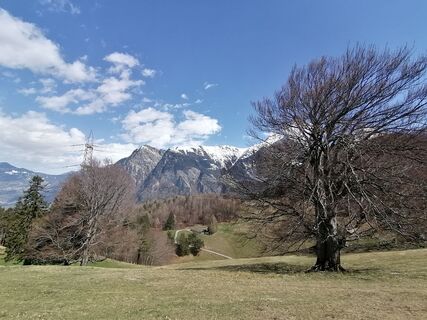 Fotografija s spletne strani Turbinio na poti