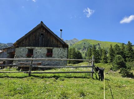Fotografija s spletne strani MRDL na poti