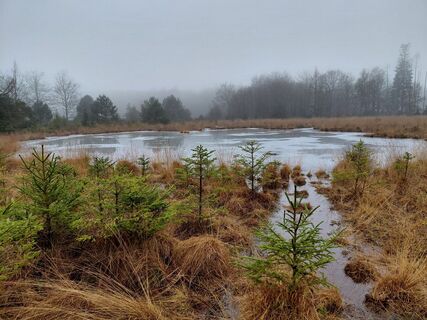 Foto von Willem kremer entlang der Tour