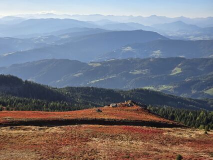 Foto de TwilightTea a lo largo del recorrido
