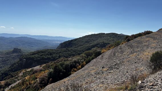 Foto de sagal a lo largo del recorrido