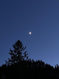 Fotografija s spletne strani Aurelian Böhler na poti