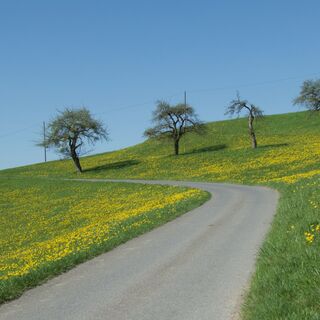 Hohfuren - Bern nach Plaffeien