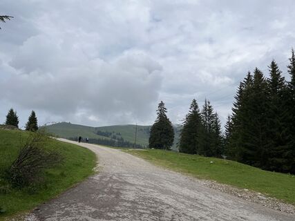 Fotografia z Heinz Sperl na trase