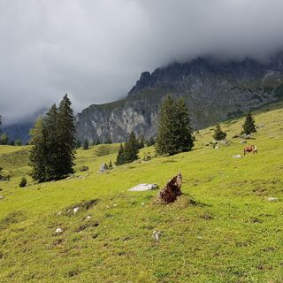 Hochkönig in Wolken