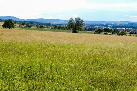 Westweg Etappe 1 Blick von der Schwanner Warte