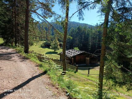 Foto da Karl-Heinz lungo il tour