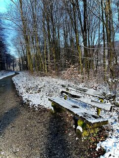 Foto de Kellner Heidi a lo largo del recorrido