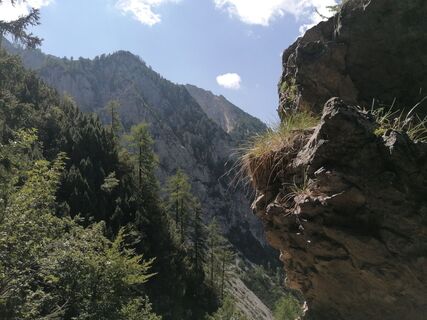 Foto von Turbinio entlang der Tour
