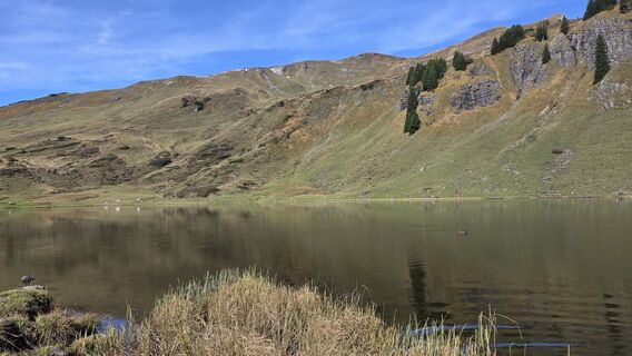 Fotografia z V Feurstein na trase
