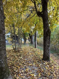 Foto fra Markus Vogl undervejs på turen