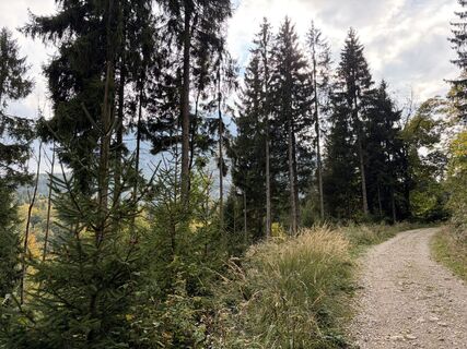 Photo de Martin Sicher le long du parcours