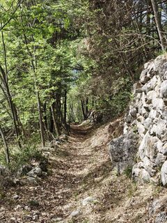 Photo de Lorenzo Martinelli le long du parcours