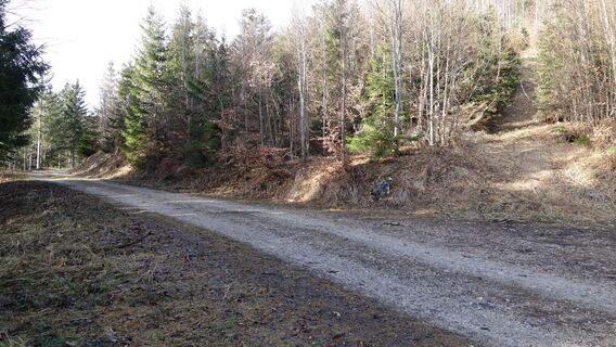 links geradeaus weiter