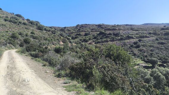 Fotografija s spletne strani CPQS na poti