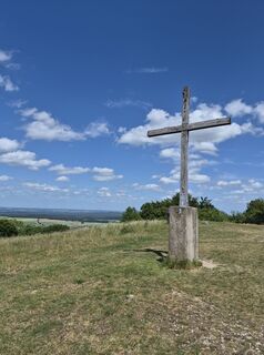 Photo de Wollomator le long du parcours