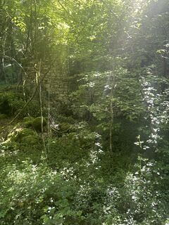 Fotografija s spletne strani Andi Felix na poti