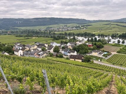 Photo de Martin Lorscheider le long du parcours