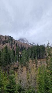 Foto da Philipp Englert lungo il tour